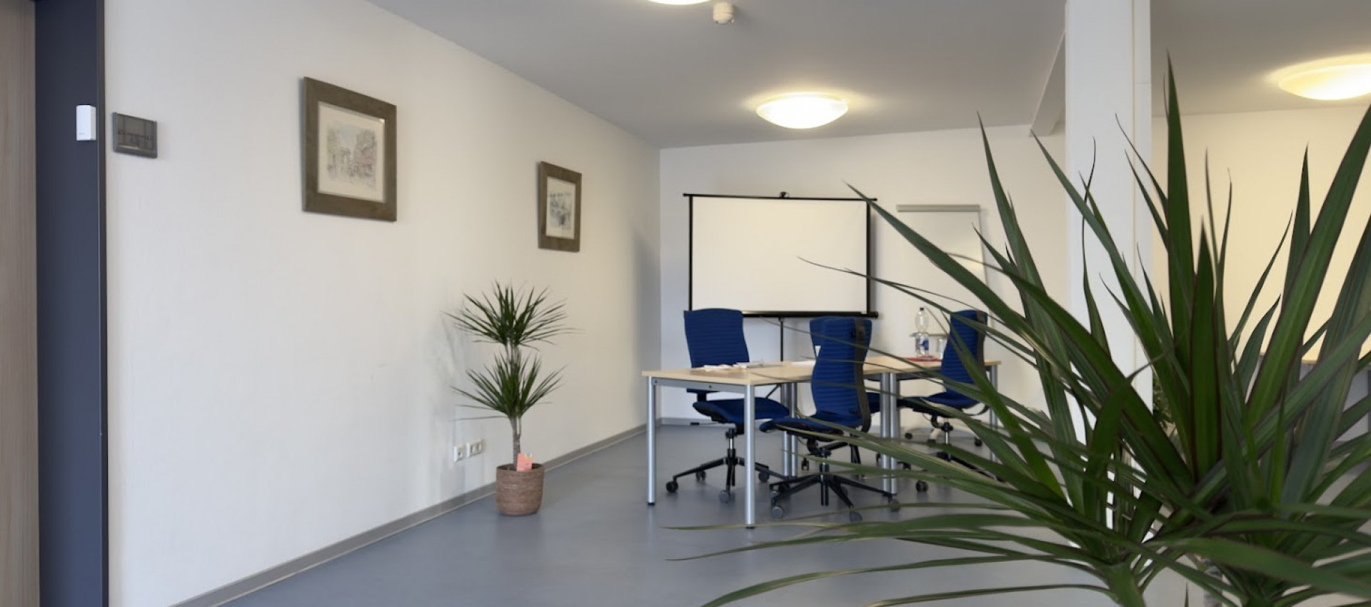 Alles neu – macht der Mai: Die Schmidt Wundberatung ist umgezogen und wächst weiter